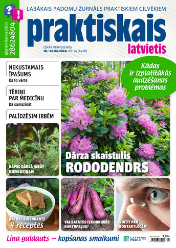 Praktiskais Latvietis | e-izdevums kioskā