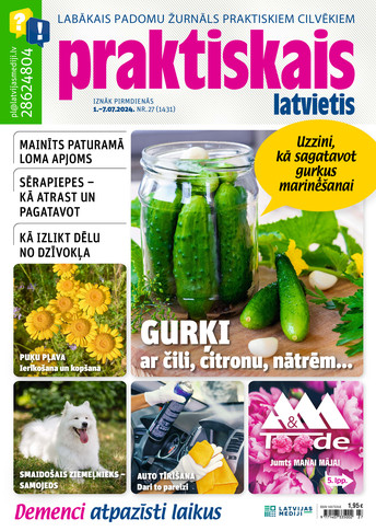 Praktiskais Latvietis | e-izdevums kioskā