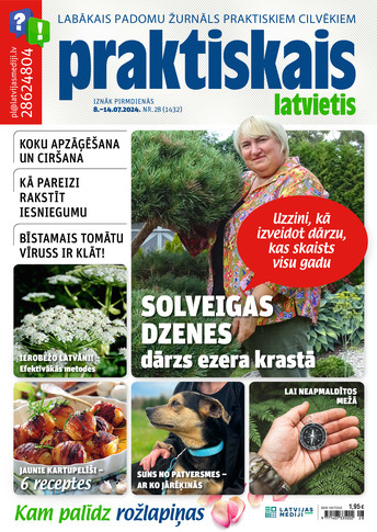 Praktiskais Latvietis | e-izdevums kioskā