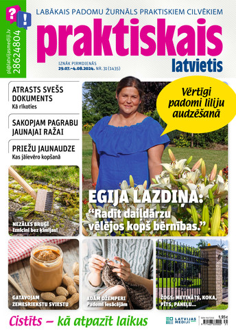 Praktiskais Latvietis | e-izdevums kioskā