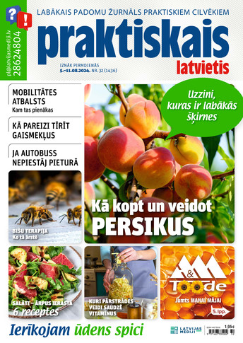 Praktiskais Latvietis | e-izdevums kioskā