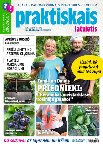 Praktiskais Latvietis | e-izdevums kioskā