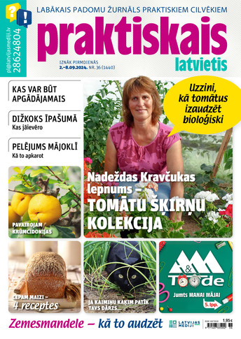 Praktiskais Latvietis | e-izdevums kioskā