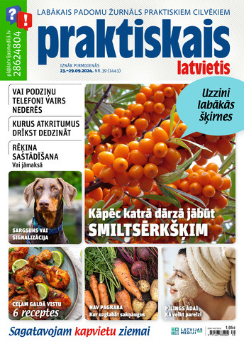 Praktiskais Latvietis | e-izdevums kioskā