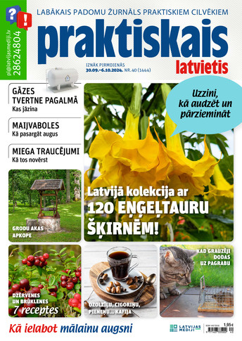 Praktiskais Latvietis | e-izdevums kioskā