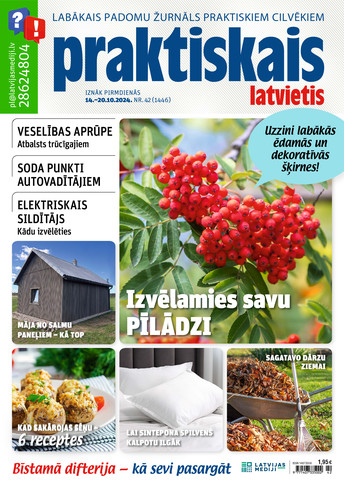 Praktiskais Latvietis | e-izdevums kioskā