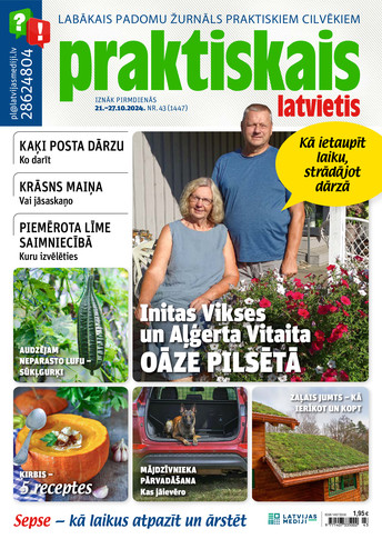 Praktiskais Latvietis | e-izdevums kioskā