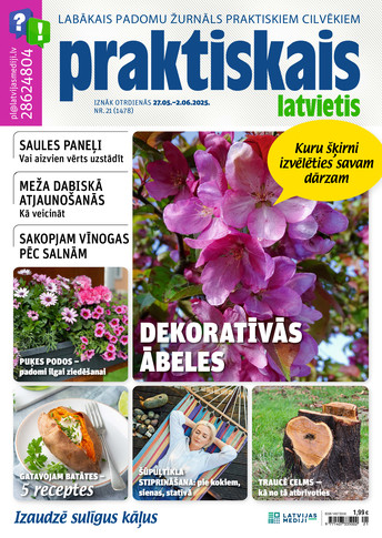 Praktiskais Latvietis | e-izdevums kioskā Praktiskais Latvietis | e-izdevums kioskā