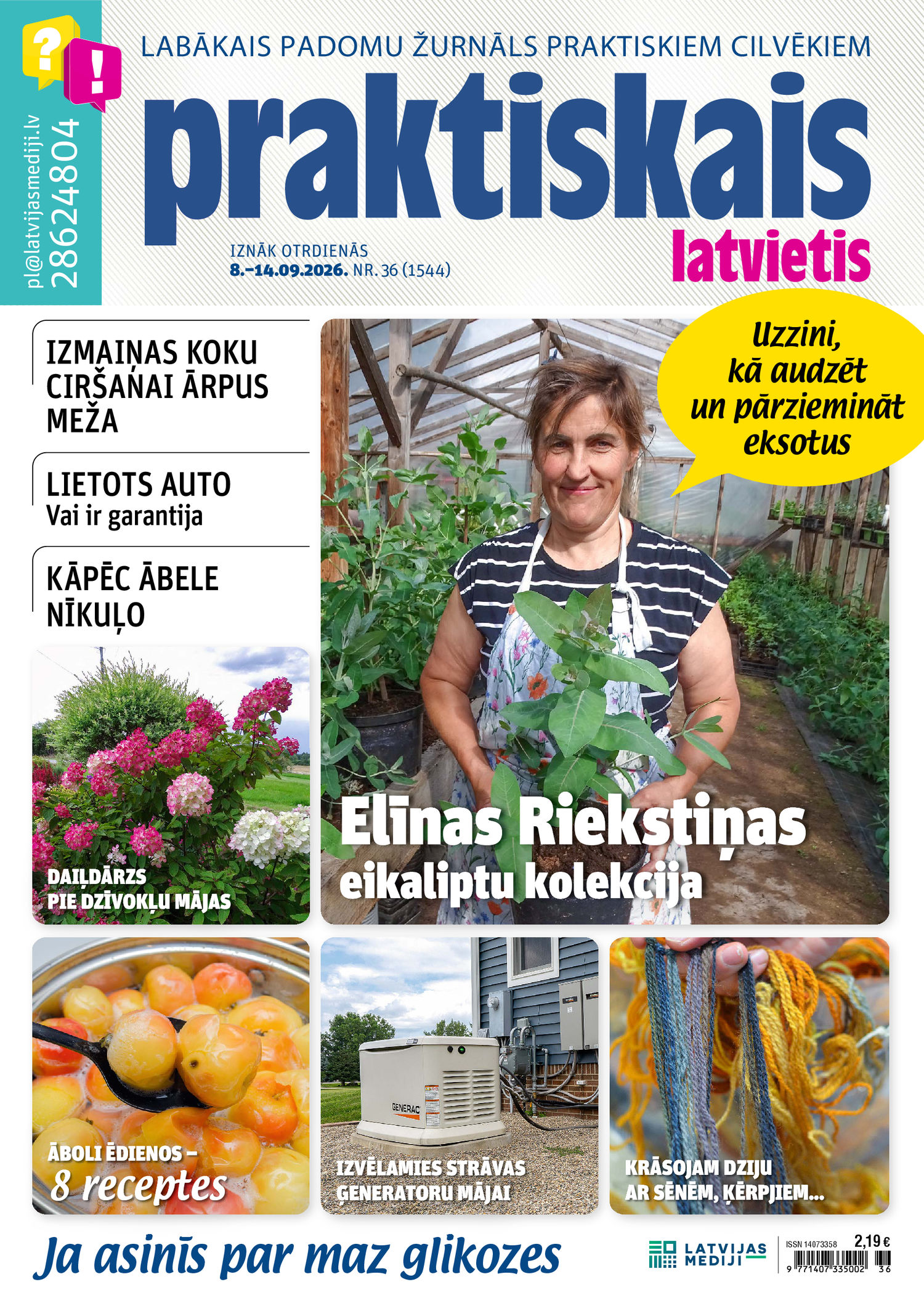 Praktiskais Latvietis Pielikumi | e-izdevumi kioskā