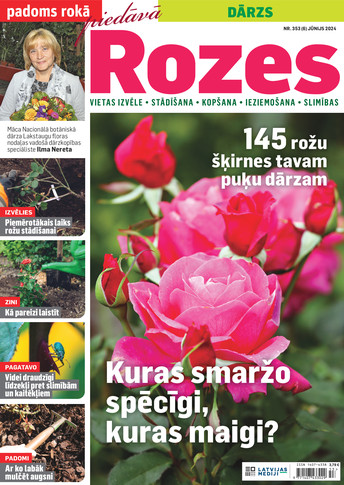 Padoms Rokā | e-izdevums kioskā