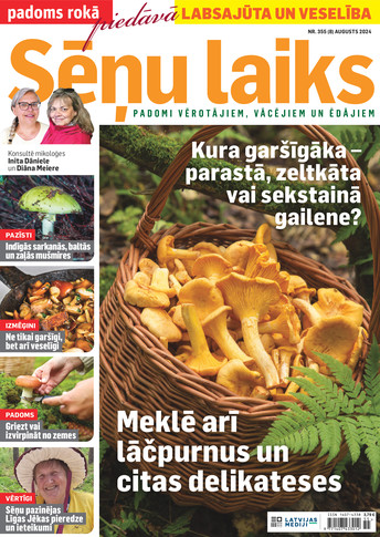 Padoms Rokā | e-izdevums kioskā