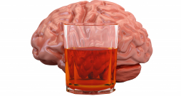 Alkohols un smadzenes