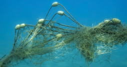 Pazaudētie zvejas tīkli ekoloģijai nodara milzīgu kaitējumu.