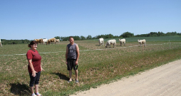 Bunkas pagasta zemnieku saimniecības "Sudrabkalni" saimnieki Evita Valdmane un Jānis Pelcis atzīst – daļa liellopu spiesti ganīties arī noēstās un sausumu nomocītās pļavās, bet situācija nav tik slikta, kā izskatās: ir arī labākas pļavas.