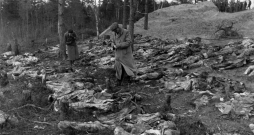 1943. gadā vācu kareivji Katiņā atrada apmēram 8000 poļu virsnieku mirstīgās atliekas. Pēc Staļina rīkojuma tos 1939. gadā nošāva NKVD vienības. Padomju savienība šajā masu slepkavībā melīgi vainoja nacistus. Poļu virsnieku iznīcināšanu Padomju savienība neatzina līdz pat 1990. gadam.