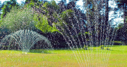 Dārza laistīšana. Dārza laistīšana.