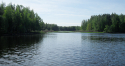 Daugavas tumšie ūdeņi pie Nāves salas.