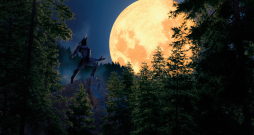 Sveiciens no vilkačiem! Sveiciens no vilkačiem!