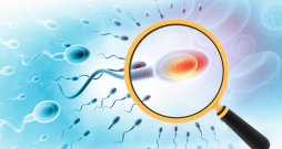 Pētījuma gaitā izpētīts epiģenētisko mutāciju mehānisms padzīvojušu tēvu spermatozoīdos.