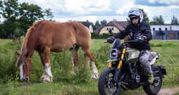 "Moto Morini SCR 650" "Moto Morini SCR 650"