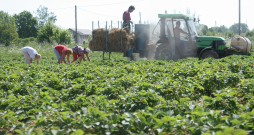 Ilustratīvs attēls.