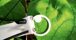 Fotosintēzes sensori tiek novietoti tieši uz augu lapām.