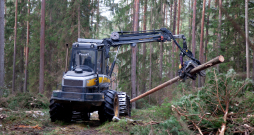 Meža tehnika, harvesters. Ilustratīvs attēls.