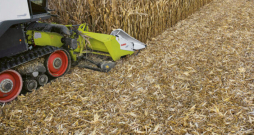 'Claas Corio Stubble Cracker' agregāts kukurūzas novākšanai.