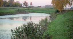 Piemājas dīķis.