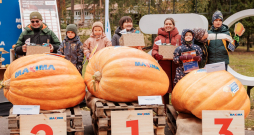 Latvijas lielākā ķirbja čempionātā.