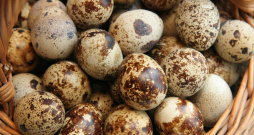 Paipalu olas.