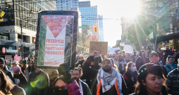 Organizācija "Samidoun" protestē ielās.