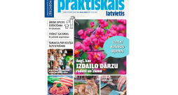 Žurnāla "Praktiskais Latvietis" jaunais numurs. 21.-26.11.