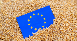 Latvijai un visām pārējām ES valstīm pastāv alternatīvi graudu ieguves avoti, un priekšroka noteikti būtu jādod Ukrainas, nevis Krievijas graudu pirkšanai.