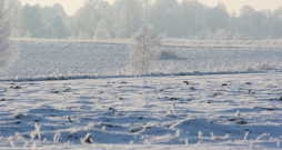 Ziema. Ilustratīvs attēls.