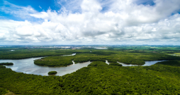 Pāri vismaz 7000 kilometru garajai Amazonei nav pilnībā neviena tilta!