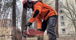 Kad harvesters savu darbu ir beidzis, tad cirsmā dodas vīri ar rokas instrumentiem. Viņu uzdevums ir tīrīt pamežu, atstājot bioloģiskajai daudzveidībai nepieciešamos augstos celmus un trūdošus koku stumbrus.
