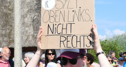 Dažas dienas pēc tam, kad sociālajos tīklos tika publicēts skandalozais video no ballītes klubā "Pony", ap 100 cilvēku Ziltes salā pulcējās pretrasisma demonstrācijā.