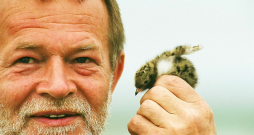 Jānis Baltvilks latviešu literatūrā bija īpašs ar savu dabas izjūtu.