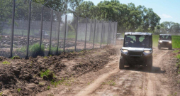 Žogs uz Latvijas-Baltkrievijas robežas. Žogs uz Latvijas-Baltkrievijas robežas.