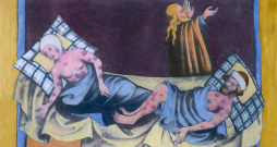Barības nepietiekamība Eiropā bija sajūtama līdz pat 1325. gadam, tas izraisīja vispārēju imūnsistēmas pavājināšanos un neizbēgami pārvērtās dažādās epidēmijās – pelagra, kseroftalmija, bet naturālās bakas, kas pēc ilgstošas klusēšanas "pamodās" 12. gadsimta beigās, savu maksimumu sasniedza neilgi pirms mēra atnākšanas.