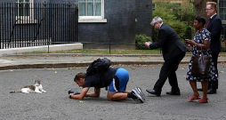 Britu premjerministra rezidences kaķim Larijam Dauningstrītā nav trūcis ne politiķu, ne fotogrāfu uzmanības.