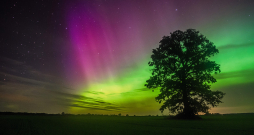 Aurora borealis jeb ziemeļblāzma, jeb kāvi ir atmosfēras augšējo slāņu (jonosfēras) spīdēšana, gaisa molekulām mijiedarbojoties ar Saules vēja daļiņām.