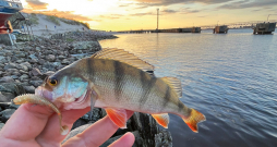 Street fishing.