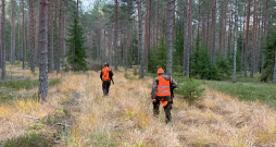 Medību pamatprincipi, kuros balstās mednieka rīcība un uzvedība gan medībās, gan ārpus tām, ir cieņa, zināšanas, atbildība, ilgtspējība un tradīcijas.