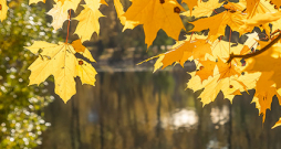 Rudens laiks.