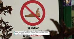 Kaitēkļa iekļaušana invazīvo sugu sarakstā dos pašvaldībām juridisku pamatu pieprasīt cīnīties ar šo kaitēkli un sodīt tos, kas to nedara. 