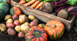 Rudens laiks. Rudens laiks.