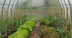 Siltumnīcā izmantoti permakultūras principi.