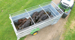'Betimax RDS' puspiekabe.